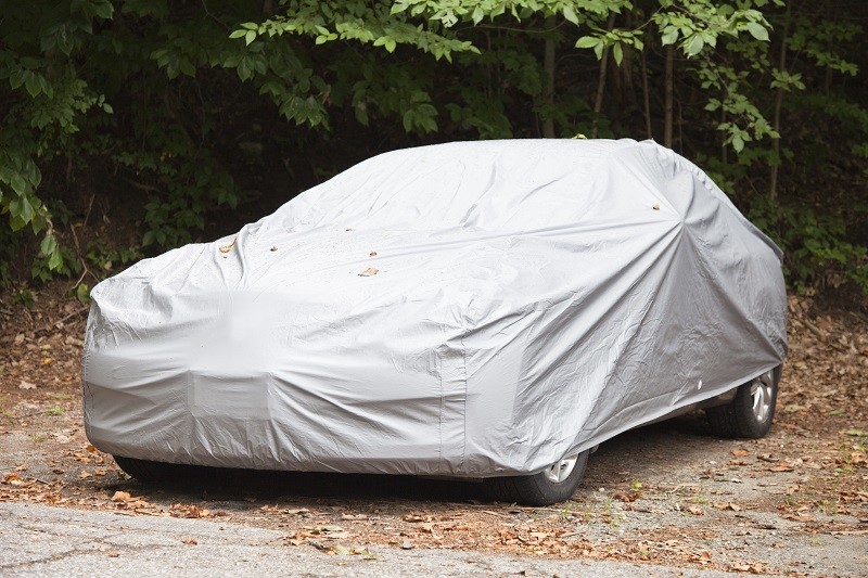 World Auto Body