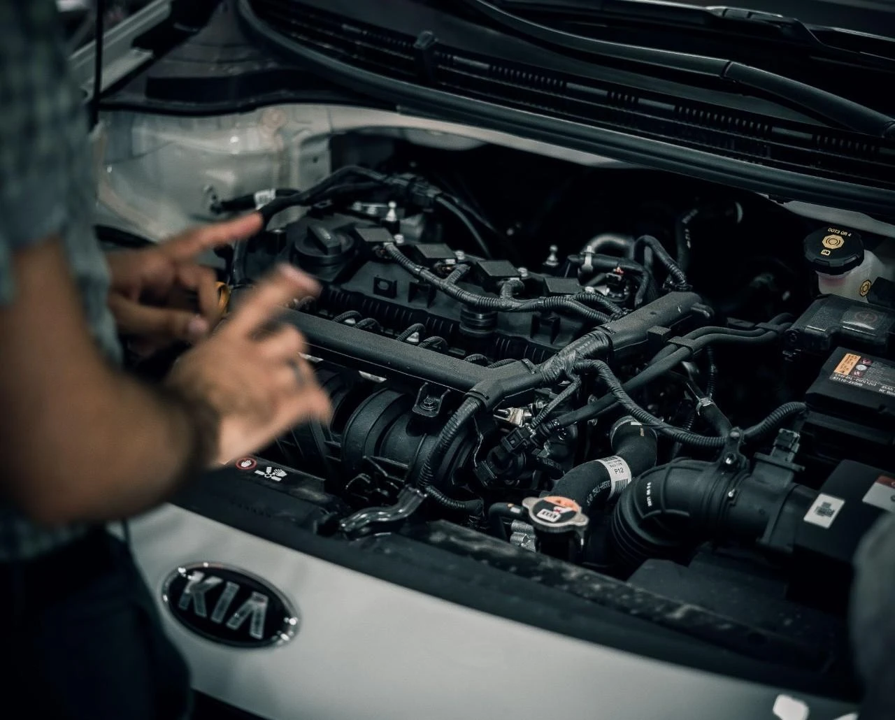 World Auto Body
