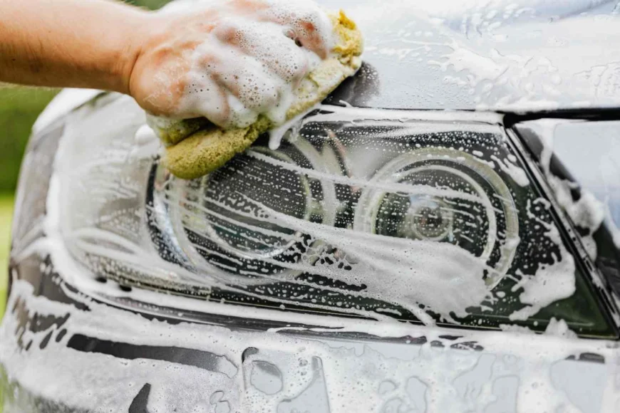 World Auto Body