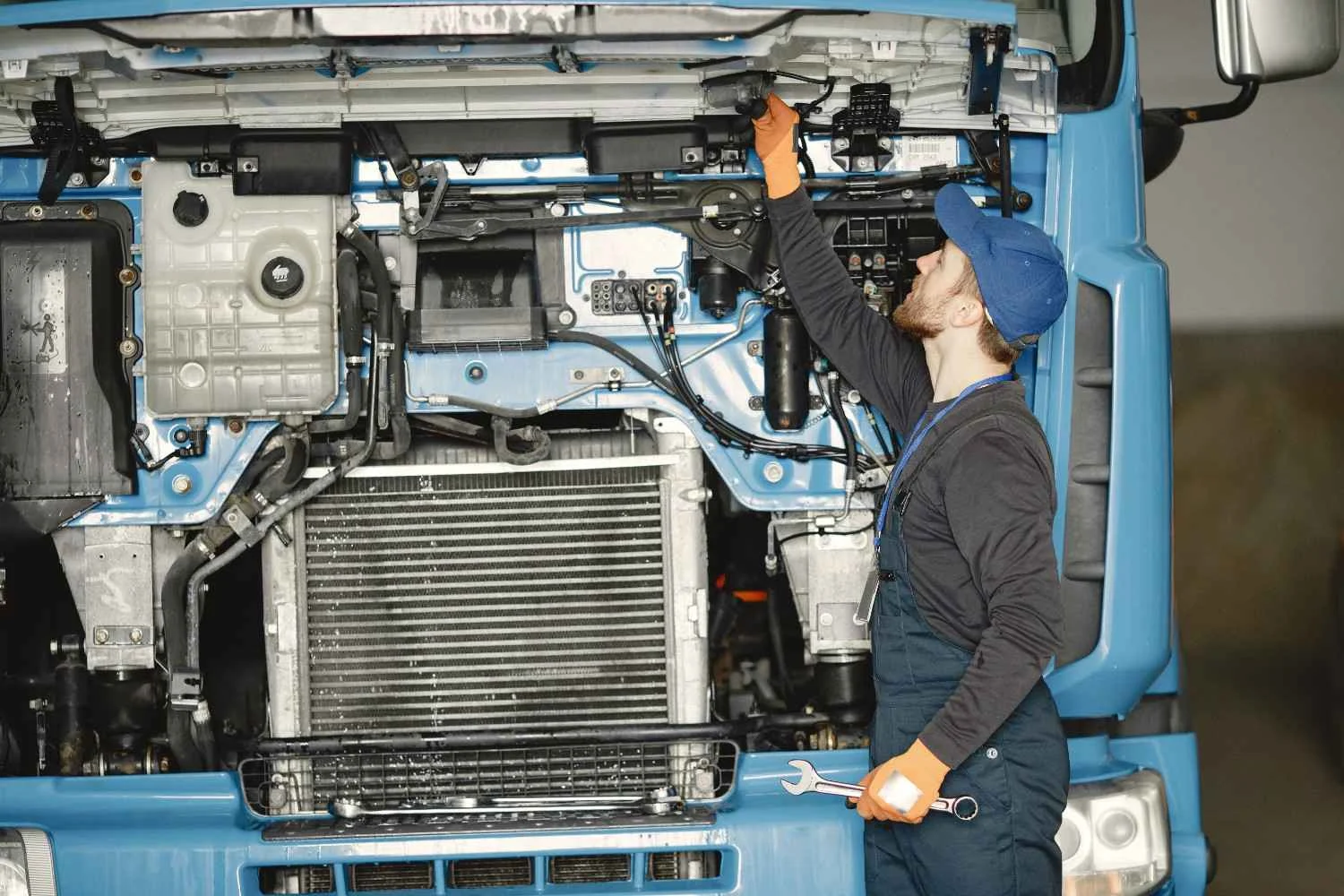 World Auto Body