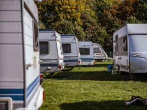 A picturesque camping site with multiple camper RVs set against a backdrop of lush trees.
